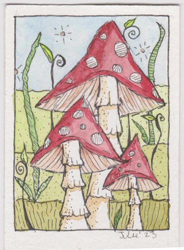 Three Mushrooms ACEO
